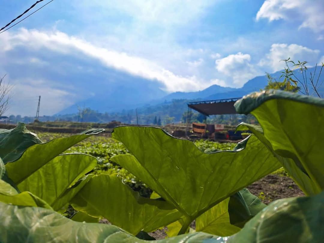 Sapafamily Eco Villa ภายนอก รูปภาพ